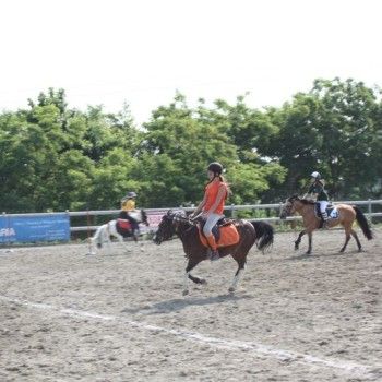 Campionato Triveneto Club - 6 e 7 giugno - Articolo V Horse Academy