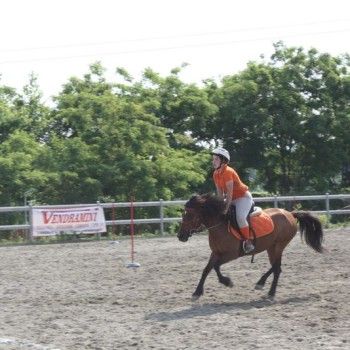 Campionato Triveneto Club - 6 e 7 giugno - Articolo V Horse Academy