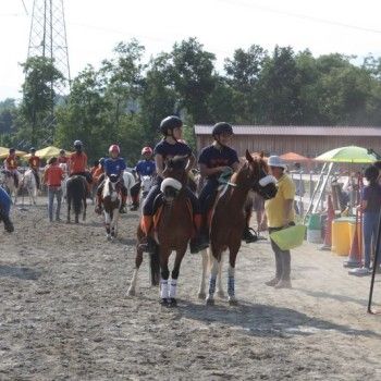 Campionato Triveneto Club - 6 e 7 giugno - Articolo V Horse Academy