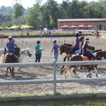 Campionato Triveneto Club - 6 e 7 giugno - Articolo V Horse Academy