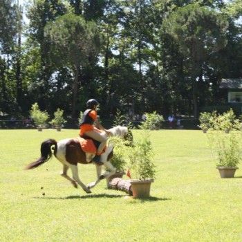 Campionati Italiani Pony Games Cervia 25-28 giugno