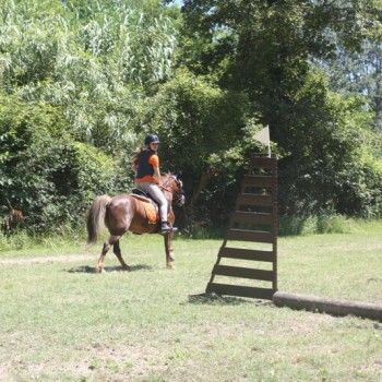 Campionati Italiani Pony Games Cervia 25-28 giugno