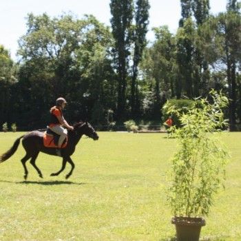 Campionati Italiani Pony Games Cervia 25-28 giugno