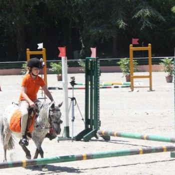 Campionati Italiani Pony Games Cervia 25-28 giugno