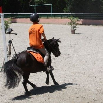 Campionati Italiani Pony Games Cervia 25-28 giugno
