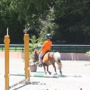 Campionati Italiani Pony Games Cervia 25-28 giugno