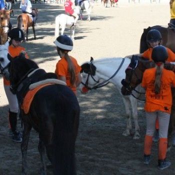 Campionati Italiani Pony Games Cervia 25-28 giugno
