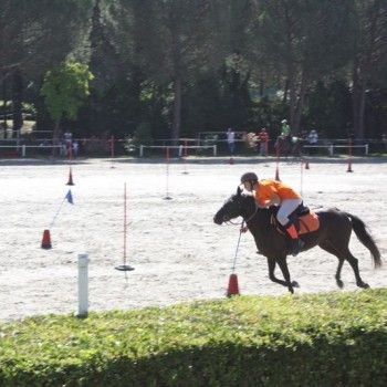 Campionati Italiani Pony Games Cervia 25-28 giugno