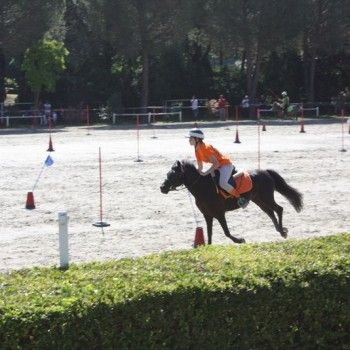 Campionati Italiani Pony Games Cervia 25-28 giugno