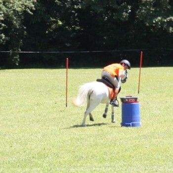 Campionati Italiani Pony Games Cervia 25-28 giugno