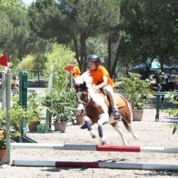 Campionati Italiani Pony Games Cervia 25-28 giugno