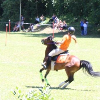 Campionati Italiani Pony Games Cervia 25-28 giugno