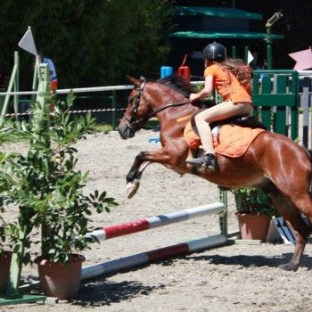 Campionati Italiani Pony Games Cervia 25-28 giugno