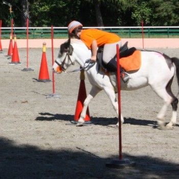 Campionati Italiani Pony Games Cervia 25-28 giugno