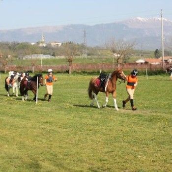 Domenica 30 marzo - Allenamento speciale Endurance Pony 