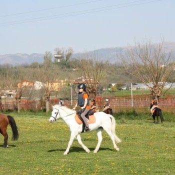 Domenica 30 marzo - Allenamento speciale Endurance Pony 