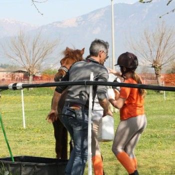 Domenica 30 marzo - Allenamento speciale Endurance Pony 