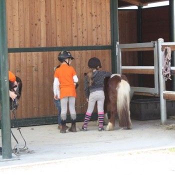 Domenica 30 marzo - Allenamento speciale Endurance Pony 