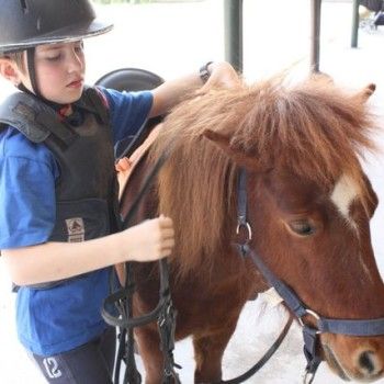Domenica 30 marzo - Allenamento speciale Endurance Pony 