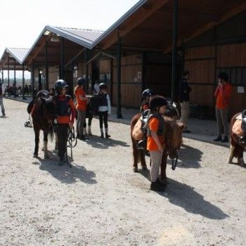 Domenica 30 marzo - Allenamento speciale Endurance Pony 