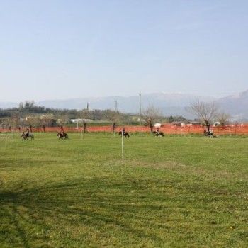Domenica 30 marzo - Allenamento speciale Endurance Pony 