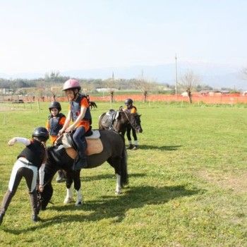 Domenica 30 marzo - Allenamento speciale Endurance Pony 