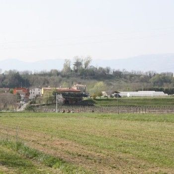 Domenica 30 marzo - Allenamento speciale Endurance Pony 