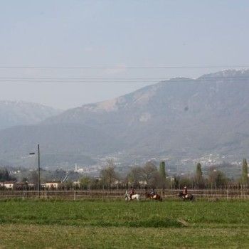Domenica 30 marzo - Allenamento speciale Endurance Pony 
