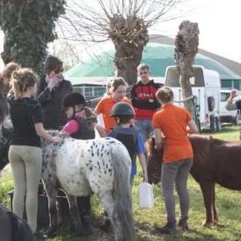 Domenica 30 marzo - Allenamento speciale Endurance Pony 