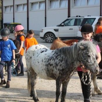 Domenica 30 marzo - Allenamento speciale Endurance Pony 