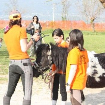 Domenica 30 marzo - Allenamento speciale Endurance Pony 