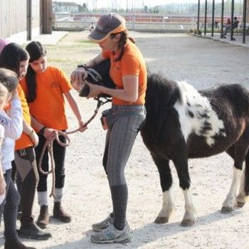 Domenica 30 marzo - Allenamento speciale Endurance Pony 