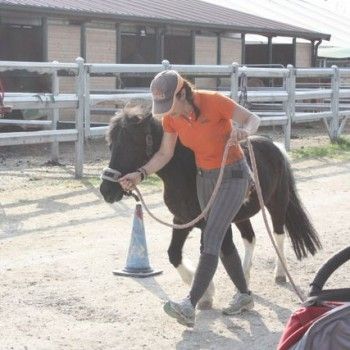 Domenica 30 marzo - Allenamento speciale Endurance Pony 