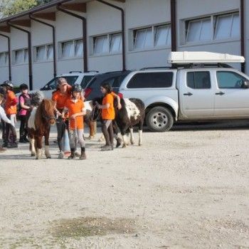 Domenica 30 marzo - Allenamento speciale Endurance Pony 