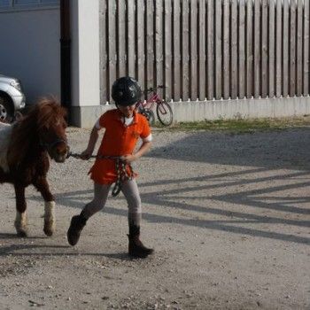 Domenica 30 marzo - Allenamento speciale Endurance Pony 