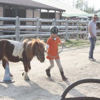 Domenica 30 marzo - Allenamento speciale Endurance Pony 