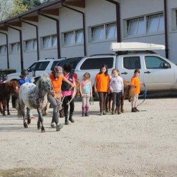 Domenica 30 marzo - Allenamento speciale Endurance Pony 