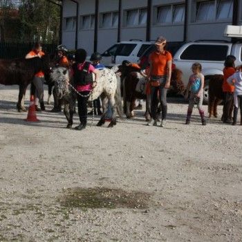 Domenica 30 marzo - Allenamento speciale Endurance Pony 