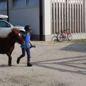 Domenica 30 marzo - Allenamento speciale Endurance Pony 