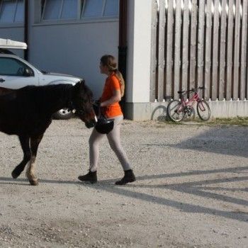 Domenica 30 marzo - Allenamento speciale Endurance Pony 