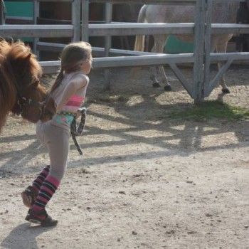 Domenica 30 marzo - Allenamento speciale Endurance Pony 