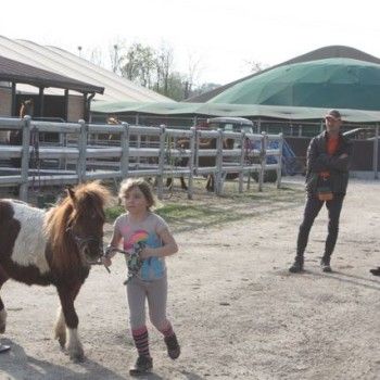 Domenica 30 marzo - Allenamento speciale Endurance Pony 