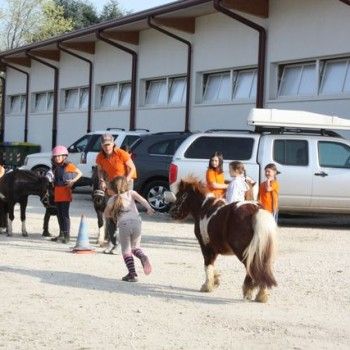 Domenica 30 marzo - Allenamento speciale Endurance Pony 