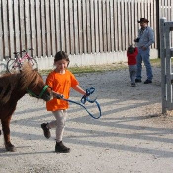 Domenica 30 marzo - Allenamento speciale Endurance Pony 