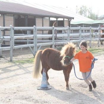 Domenica 30 marzo - Allenamento speciale Endurance Pony 