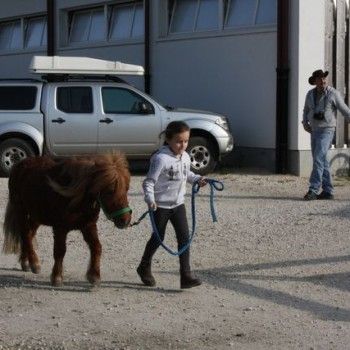 Domenica 30 marzo - Allenamento speciale Endurance Pony 