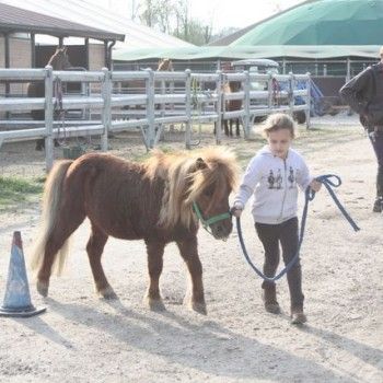 Domenica 30 marzo - Allenamento speciale Endurance Pony 