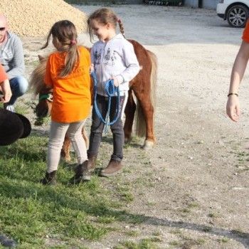 Domenica 30 marzo - Allenamento speciale Endurance Pony 