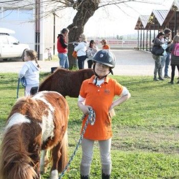 Domenica 30 marzo - Allenamento speciale Endurance Pony 