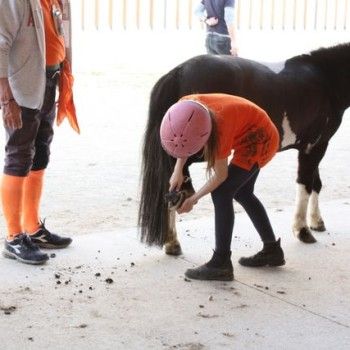 Domenica 30 marzo - Allenamento speciale Endurance Pony 